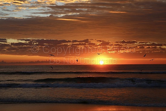 Currimundi Beach, Queensland, Australia